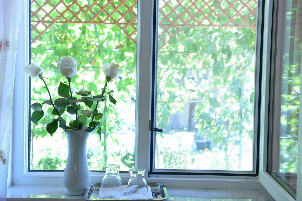 Casa Boby Hotel Murighiol Kültér fotó