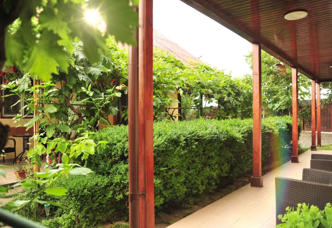 Casa Boby Hotel Murighiol Kültér fotó